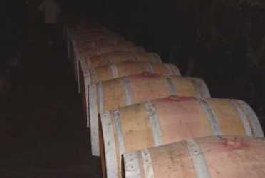 �M����������