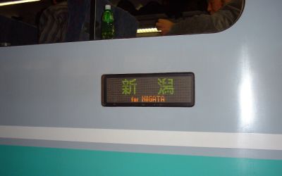 �V���s��