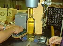 �V�[�g��t����