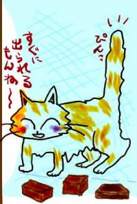 網戸の隙間から簡単に出られるヨ