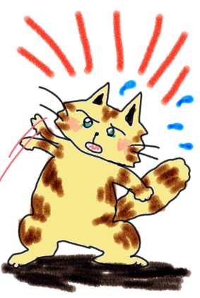 クモが手に！！