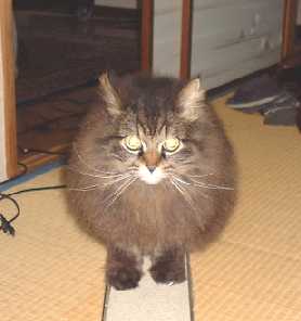 お誕生日のゆず