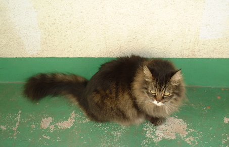 �O�ɏo�܂���[