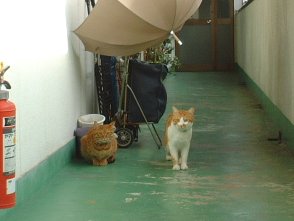 �ׂ̔L�����