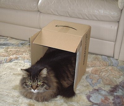 ������䂸