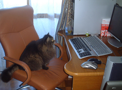 何を見ているのだ?