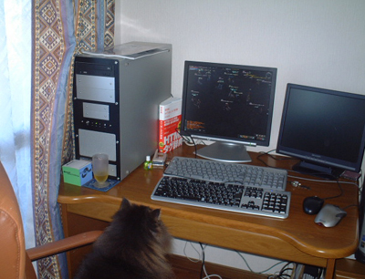 おおお、ゲームを見てるのね