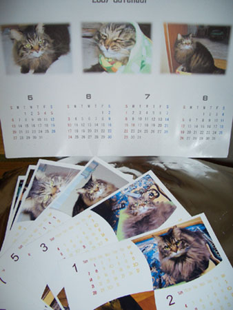 ゆずカレンダー