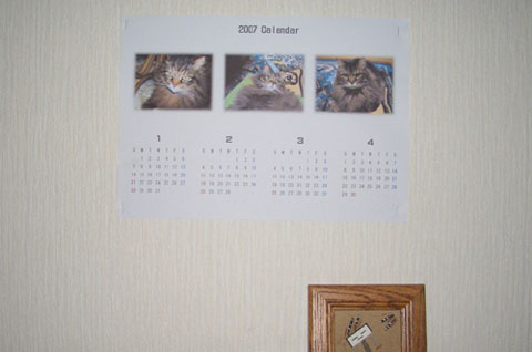 壁に貼りました