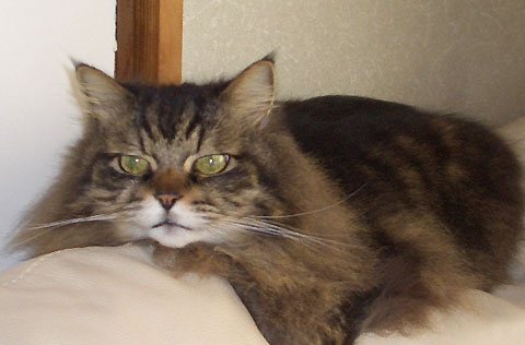 ゆずの口に注目