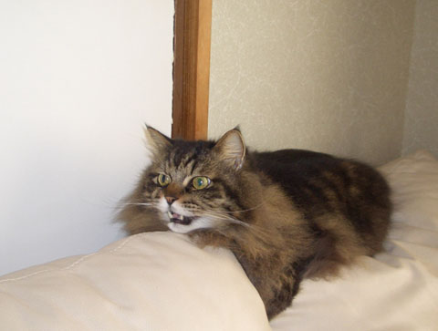 サラサラ血になりたいんだよ！(笑)