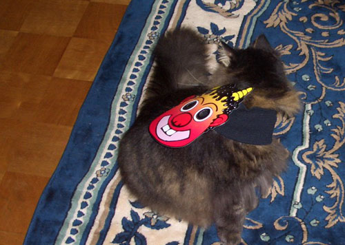 何か転がったぞ