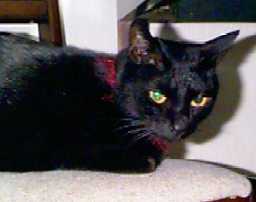 �`���`��