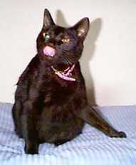 �`���`�����ʏo��