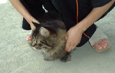 �₾�₾�|��