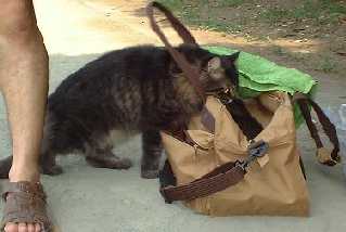 ���������̂�