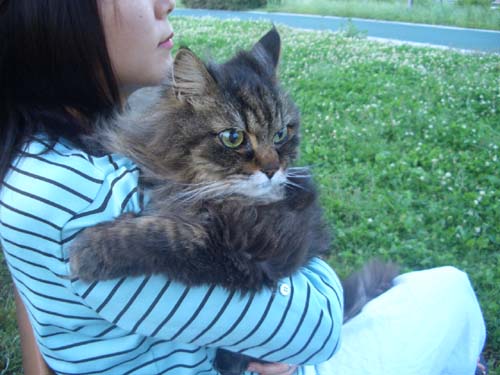 楽しかった散歩