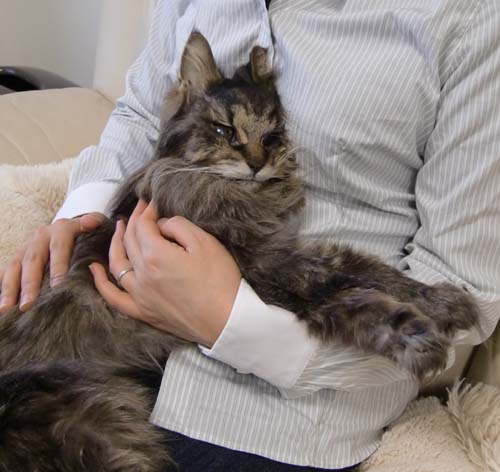 夜が明けて・・・