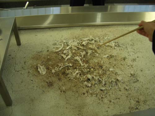 しっぽの骨とかね、ちゃんと分かったんだよ