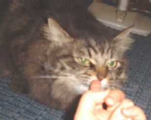 人差し指に弱いのよ