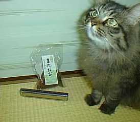 ゆずの好きなものたち