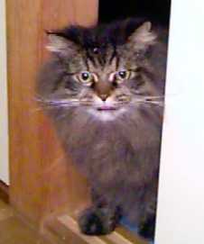 ���炢�炢��