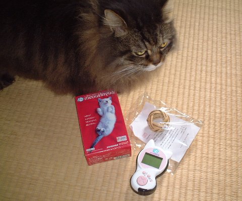 ミャウリンガル