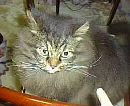 Ｍ字マークがクッキリでしょ？