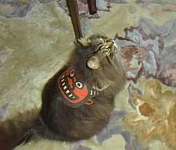 次はどこに投げるの？