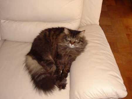 �Ȃ񂾂�A���낢�ł�񂾂���