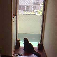 外に出たいよぉぉ