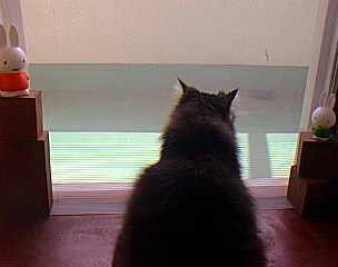 外に出たいよぉぉ