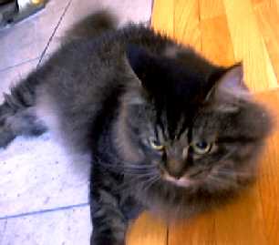 暖炉っていいなあ