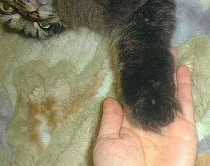 �䂸�̓���