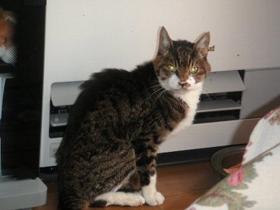 �΂��Ƃ���