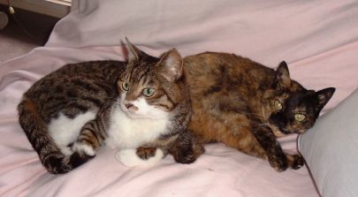 �ɂア�ƈꏏ��