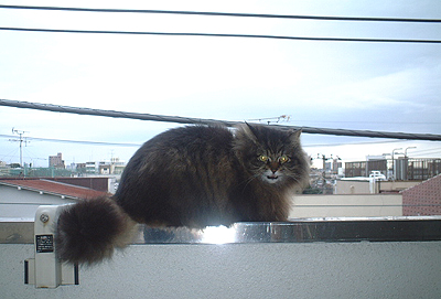 �x�����_