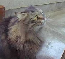 �x�����_�ɂ�