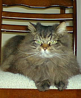 �����ւ�