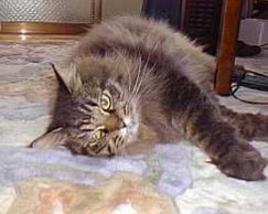 �S���`��