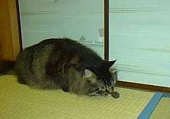 �N���N���N���A�l�̂ɂ�����