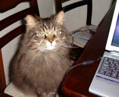 �˂��˂��A����