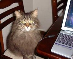 ���������Ԃ����Ղ�`�`