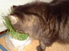 ��[���B�v���Ԃ�ɔL����