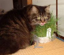 �؂�����