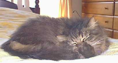 �x�b�h�̏�ł����C����