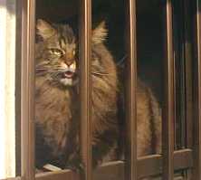 ���邢�Ƌ��Ԃ䂸