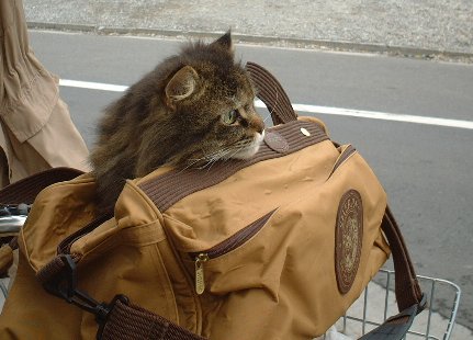 ���]�Ԃ���