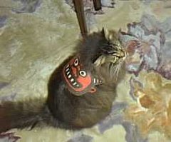 �ǂ��ǂ��H