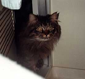 ������I������